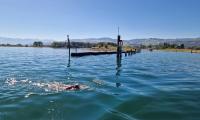 Anke beim schwimmen