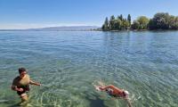Anke beim schwimmen